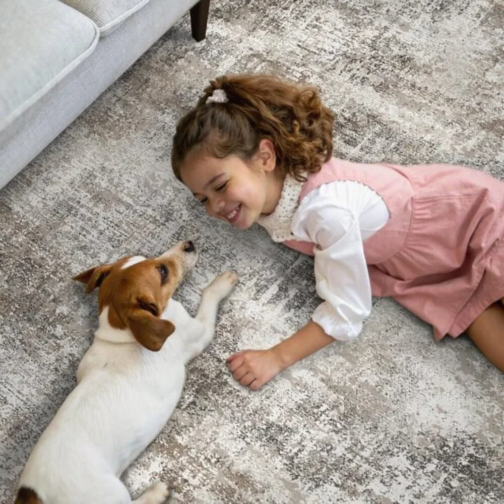 New 8x10 Washable Area Rug, Modern Abstract Non-Slip Carpet for Home & Room